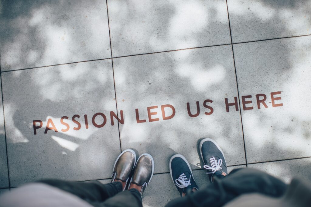 ian schneider tammbr4okv4 unsplash